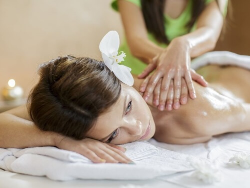 ורד הגליל- חוות סוסים